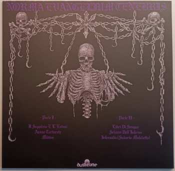 LP Noctu: Norma Evangelium Tenebris CLR | LTD