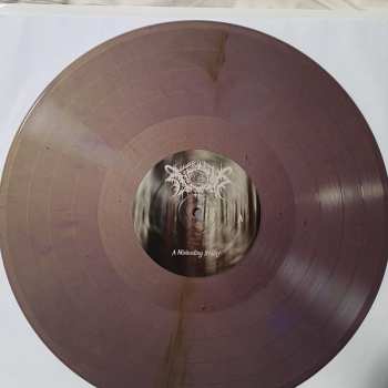 2LP Nocturnal Poisoning: A Misleading Reality CLR | LTD