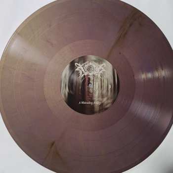 2LP Nocturnal Poisoning: A Misleading Reality CLR | LTD