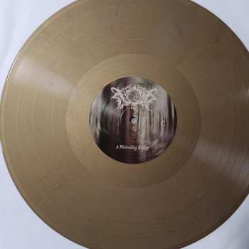 2LP Nocturnal Poisoning: A Misleading Reality CLR | LTD