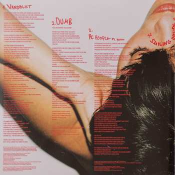 LP Noga Erez: The Vandalist