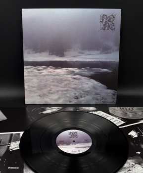 LP NONE: None