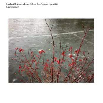 Norbert Rodenkirchen: Opalescence