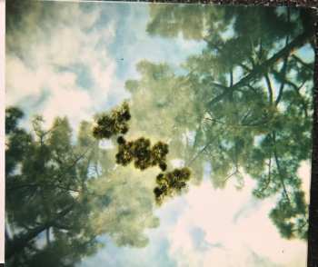 CD Norman: Hay, Hay, Make A Wish And Turn Away