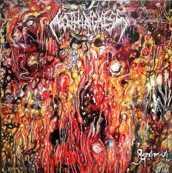 LP Nothingness: Supraliminal