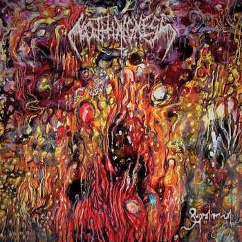 LP Nothingness: Supraliminal