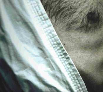 Album Nuck Chorris Gang: 100% Karate