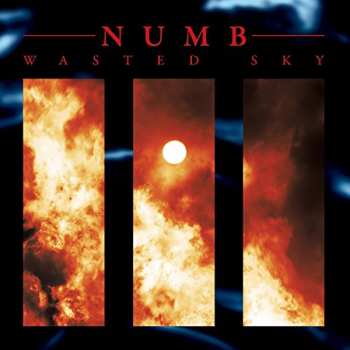 LP Numb: Wasted Sky LTD