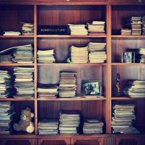 Album Numen: Numenclature