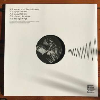 LP Nummer: Space Oddities (Vol.1)