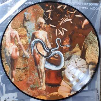 LP Nurse With Wound: Brained By Falling Masonry / Cooloorta Moon PIC
