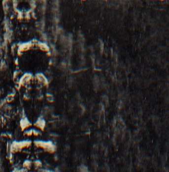 Album O Morto: The Forest, The People And The Spirits