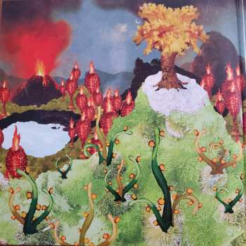 2LP Of Montreal: The Sunlandic Twins DLX | CLR
