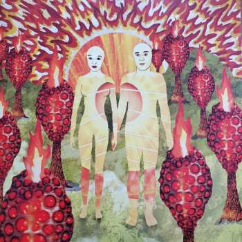 2LP Of Montreal: The Sunlandic Twins DLX | CLR