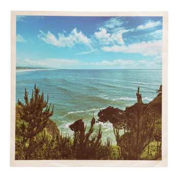 Album Oilix: Nothing But Summer