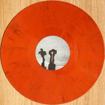 LP Oiseaux-Tempête: From Somewhere Invisible