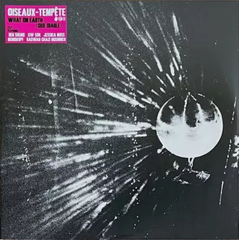 Oiseaux-Tempête: What On Earth (Que Diable)