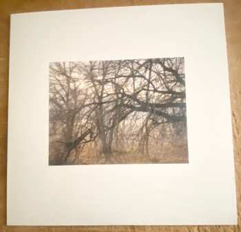 LP Okkyung Lee: Yeo​-​Neun