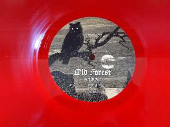 LP Old Forest: Sutwyke LTD | CLR