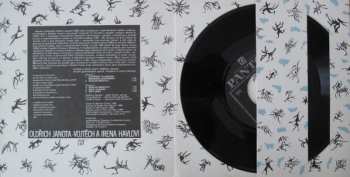 SP Oldřich Janota: Cesty 15