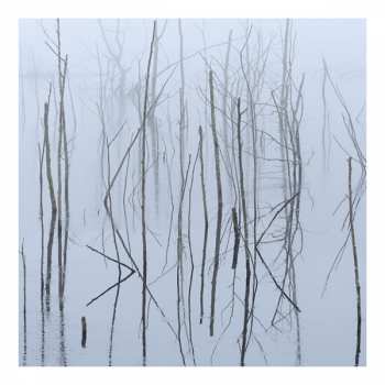 2LP Olhava: Frozen Bloom