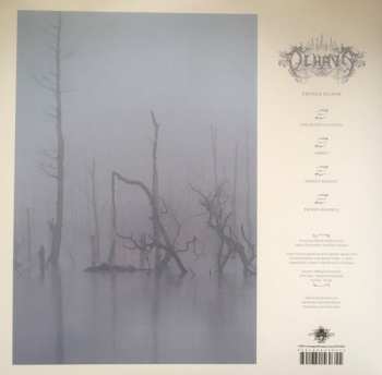 2LP Olhava: Frozen Bloom