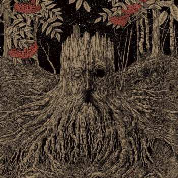 2LP Olhava: Sacrifice CLR | LTD