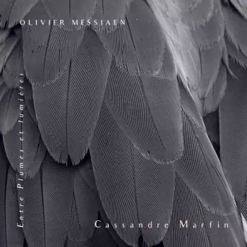 Olivier Messiaen: Entre Plumes Et Lumières  