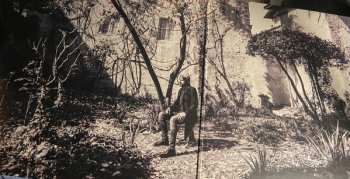 LP Omar Pedrini: Sospeso