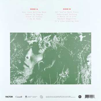 LP Only a visitor: Decay CLR | LTD