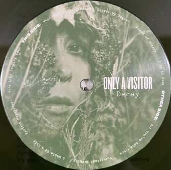 LP Only a visitor: Decay CLR | LTD