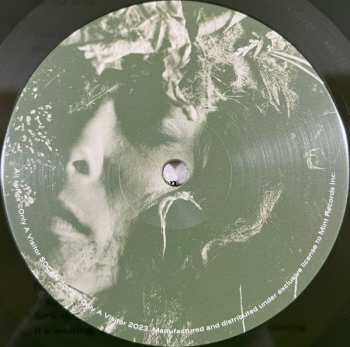 LP Only a visitor: Decay CLR | LTD