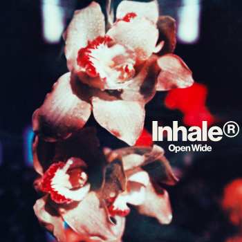 Album Inhaler: Open Wide