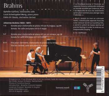 CD Johannes Brahms: Brahms