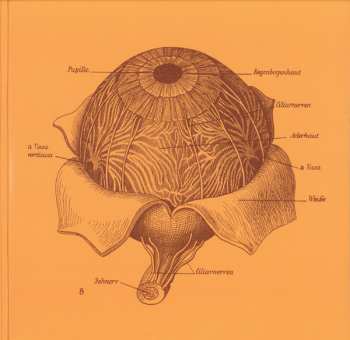 2LP Orbital: Orbital (Brown Album)