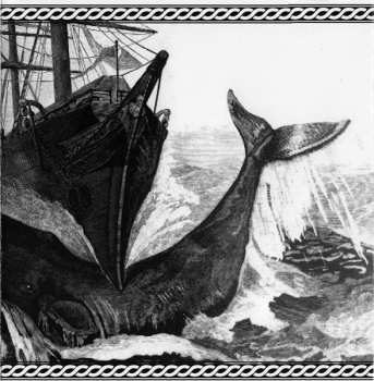 2CD Orthodox: Conoce Los Caminos MMV-MMX