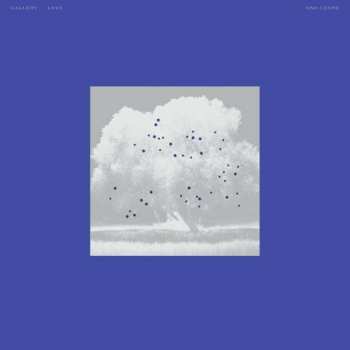 Album Oso Leone: Gallery Love