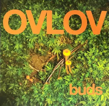 Ovlov: Buds