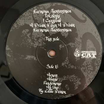 LP OVO: Abisso LTD