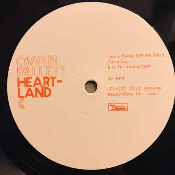 2LP Owen Pallett: Heartland
