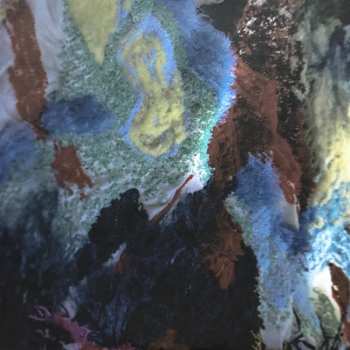 2LP Owen Pallett: Island