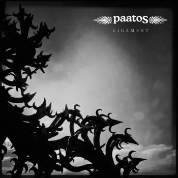 Paatos: Ligament