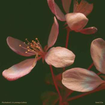 Album Pachakuti & young.vishnu: Semilla