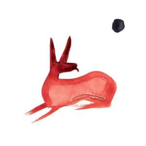 Album Paco Sala: Ko Yo