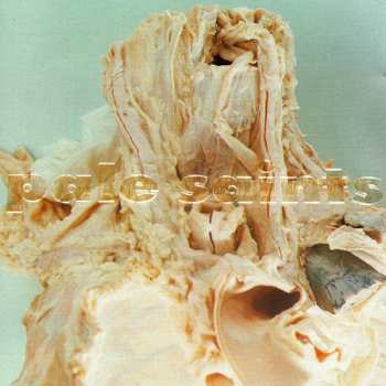 Album Pale Saints: In Ribbons