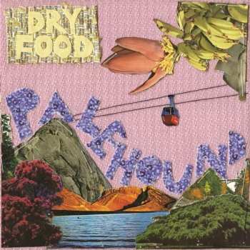 CD Palehound: Dry Food
