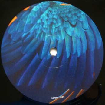 2LP Paloma Faith: Fall To Grace