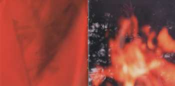 CD Palya Bea: Hazatalálok