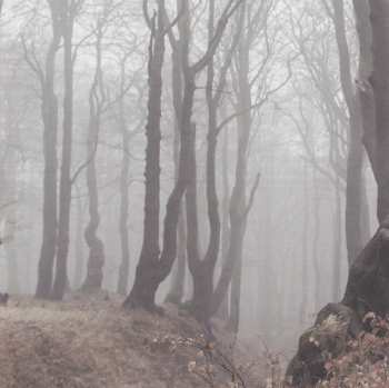 CD DJ Wich: Panorama