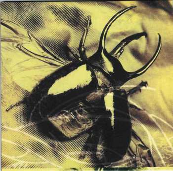 CD Paradise Lost: Icon